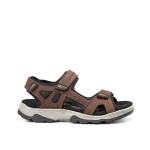 Fluchos Missouri F2410 Marron 2