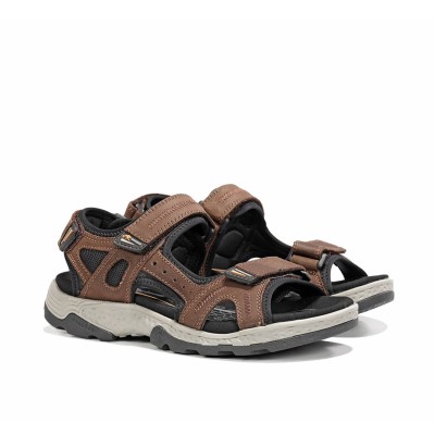 Fluchos Missouri F2410 Marron