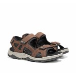 Fluchos Missouri F2410 Marron