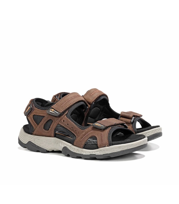 Fluchos Missouri F2410 Marron