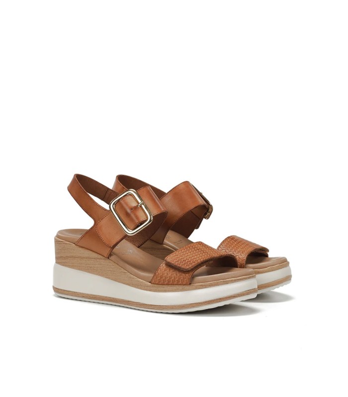 Dorking by Fluchos Prince D9642 Marron