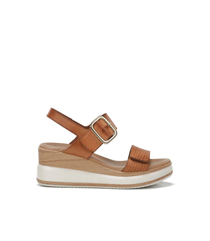 Dorking by Fluchos Prince D9642 Marron