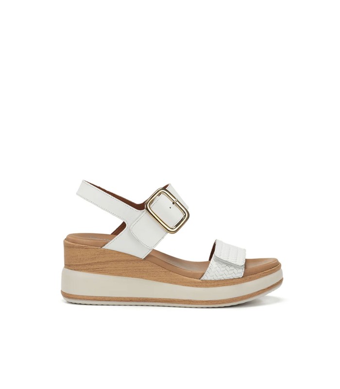 Dorking by Fluchos Prince D9642 Blanco