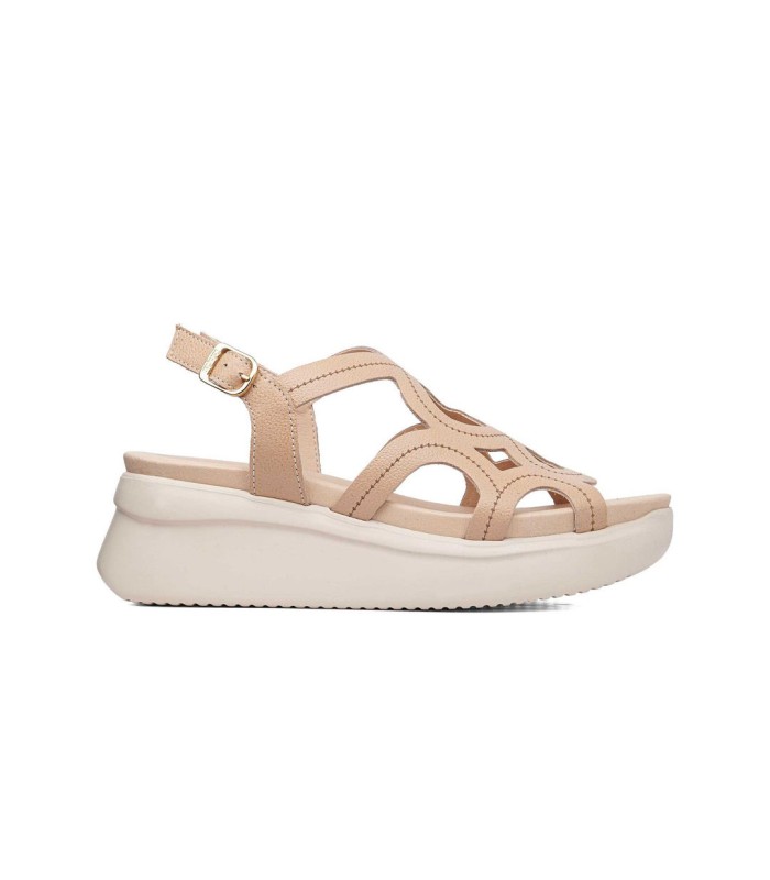 Callaghan Llana 29929 Rosa