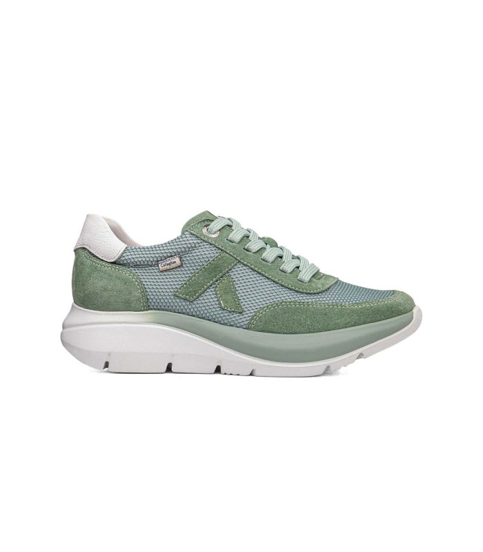 Callaghan Algoritmo 62403 Verde