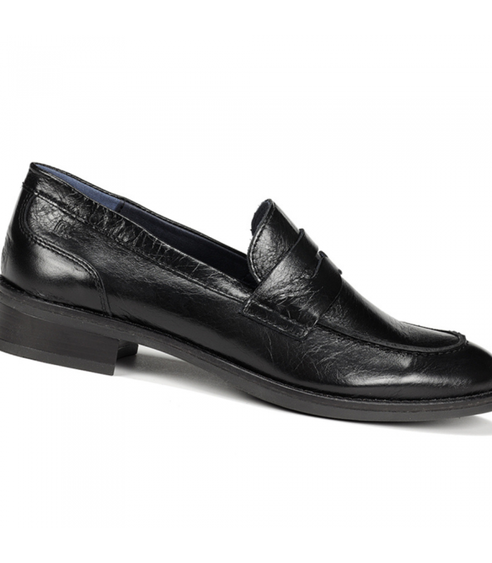 Estilos polivalentes Fluchos Harvard D8710